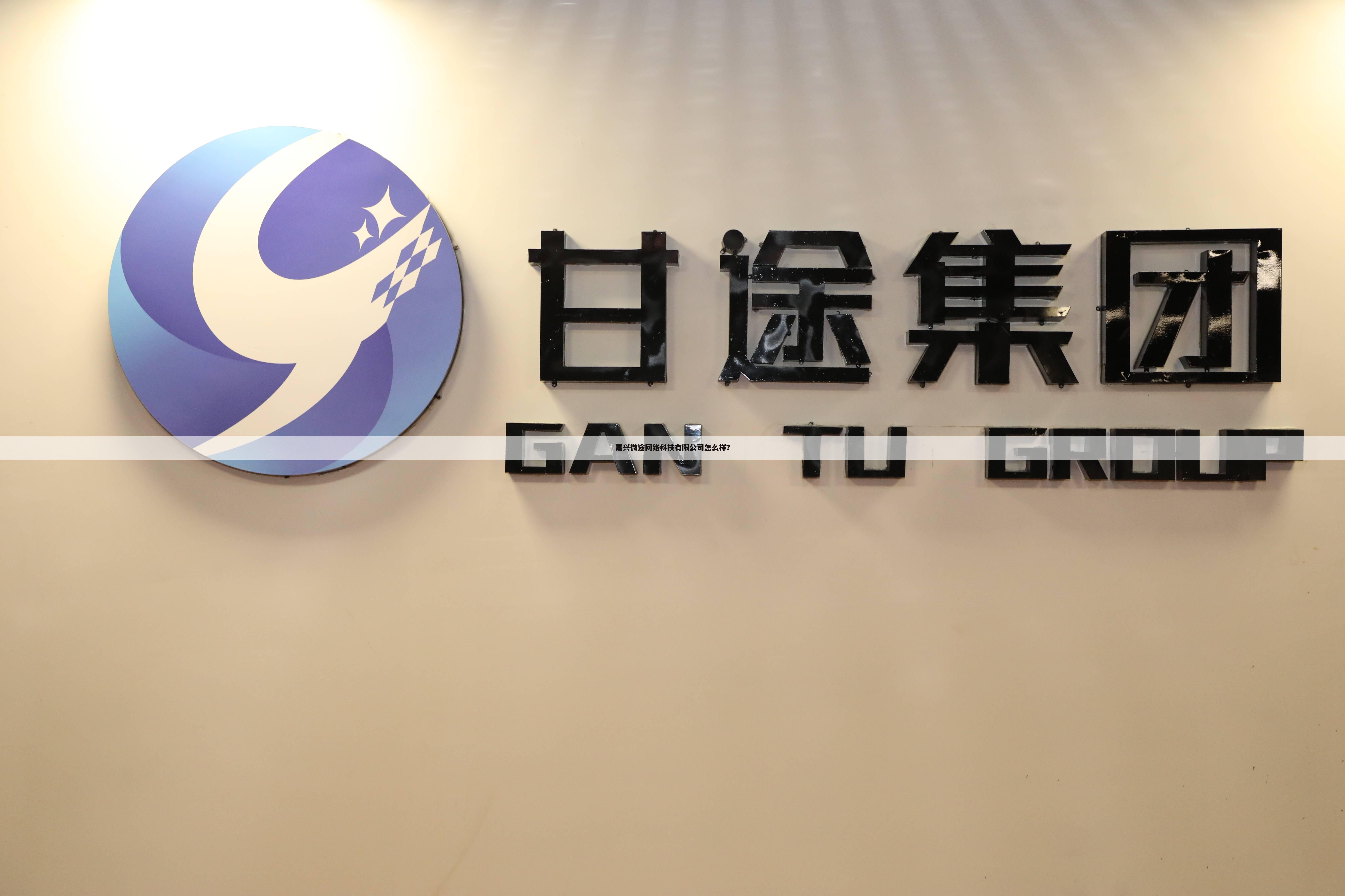 嘉兴微途网络科技有限公司怎么样?