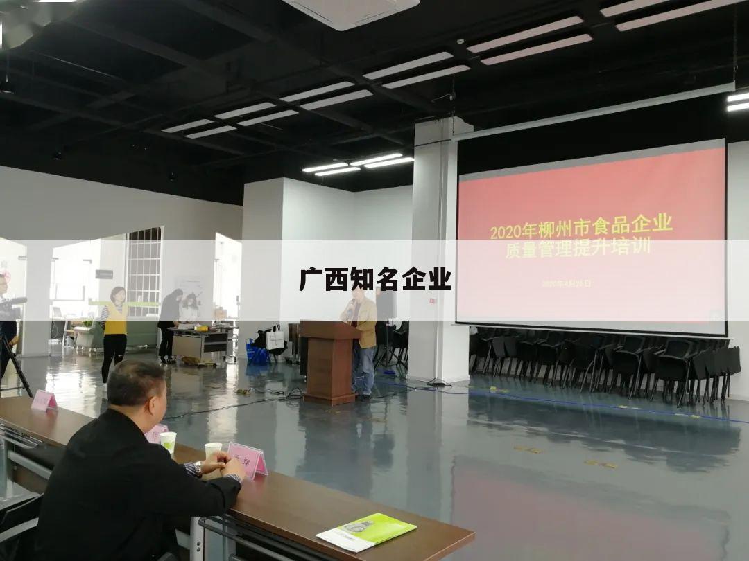 广西知名企业