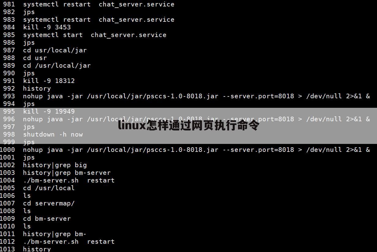linux怎样通过网页执行命令