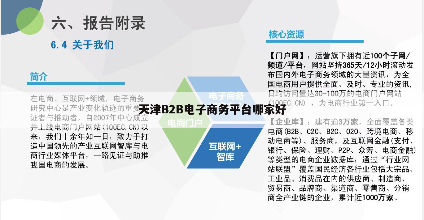 天津B2B电子商务平台哪家好