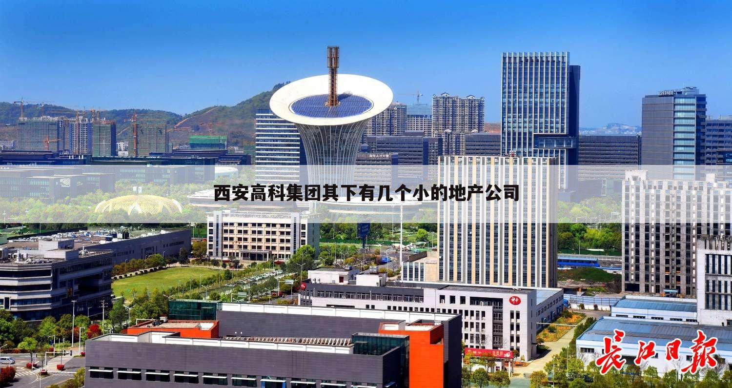 西安高科集团其下有几个小的地产公司