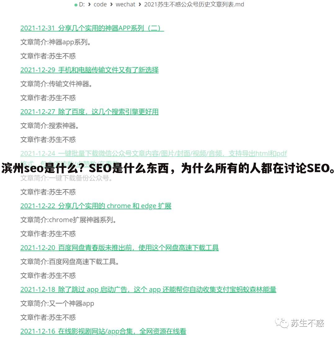 滨州seo是什么? SEO是什么东西,为什么所有的人都在讨论SEO。