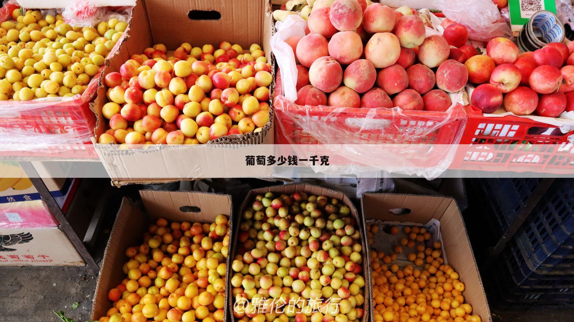 葡萄多少钱一千克