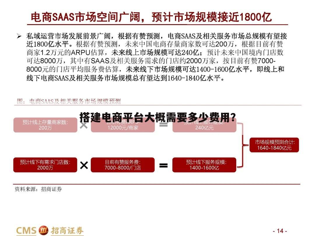 搭建电商平台大概需要多少费用？
