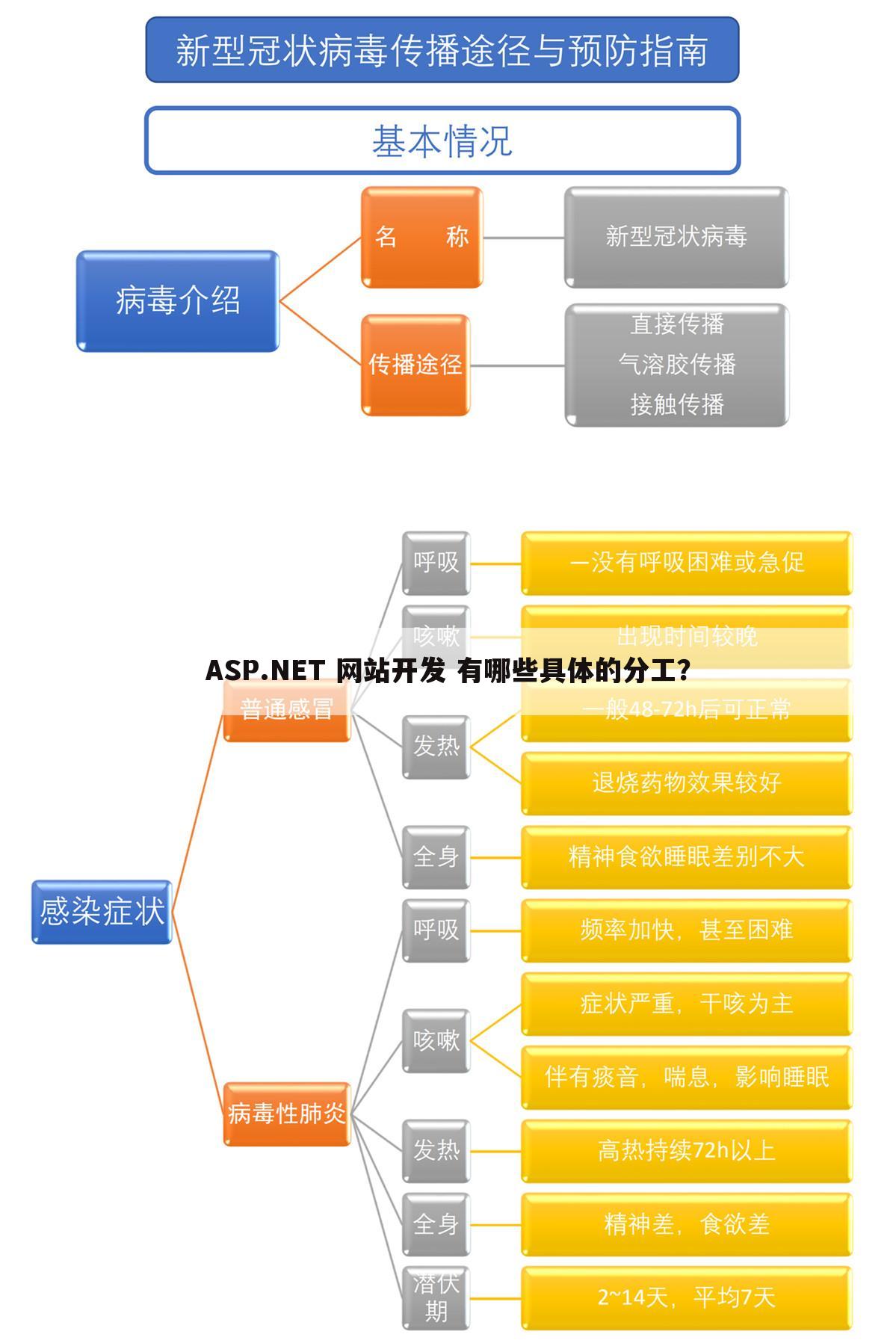 ASP.NET 网站开发 有哪些具体的分工？