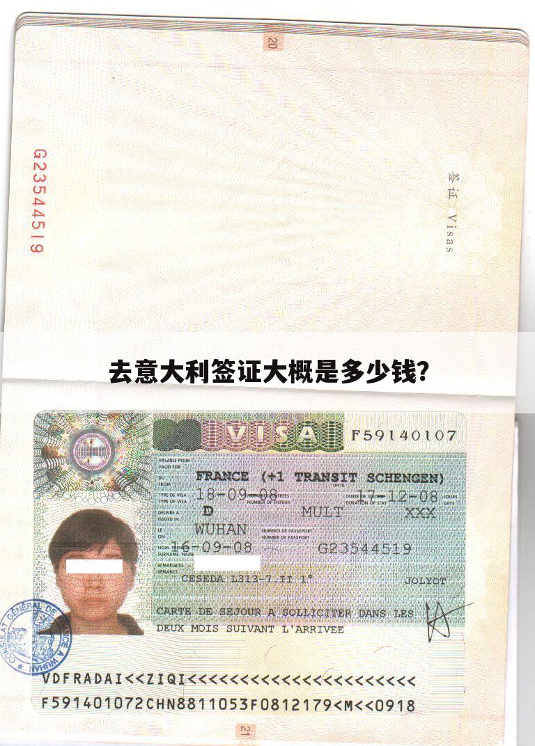 去意大利签证大概是多少钱?