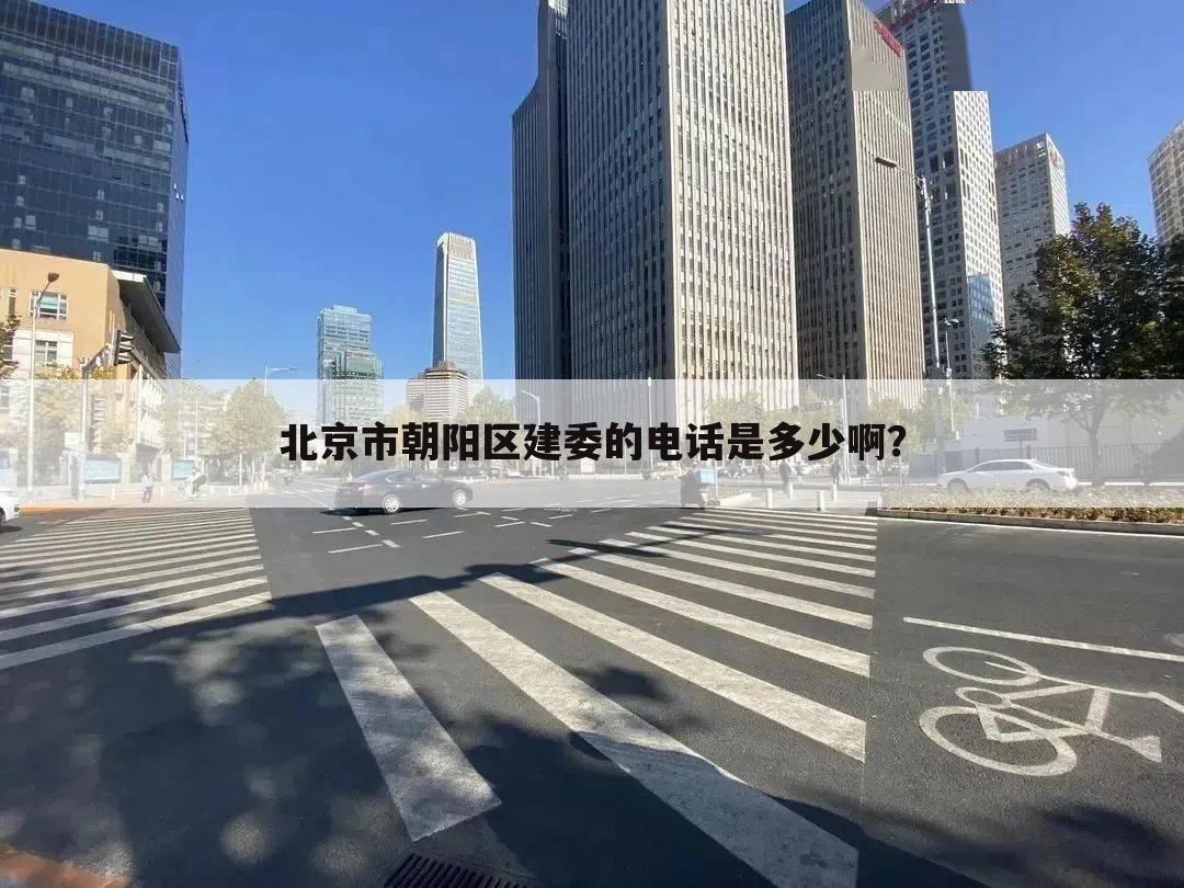 北京市朝阳区建委的电话是多少啊?