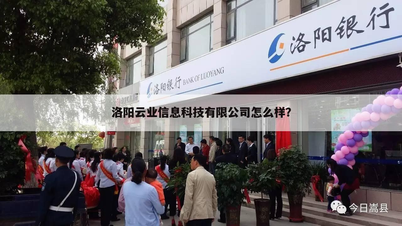 洛阳云业信息科技有限公司怎么样？