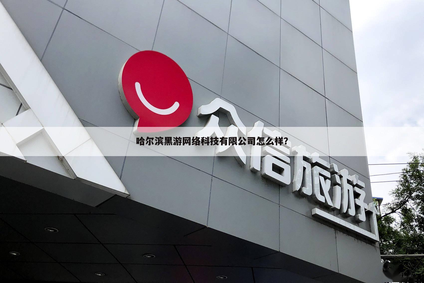 哈尔滨黑游网络科技有限公司怎么样?