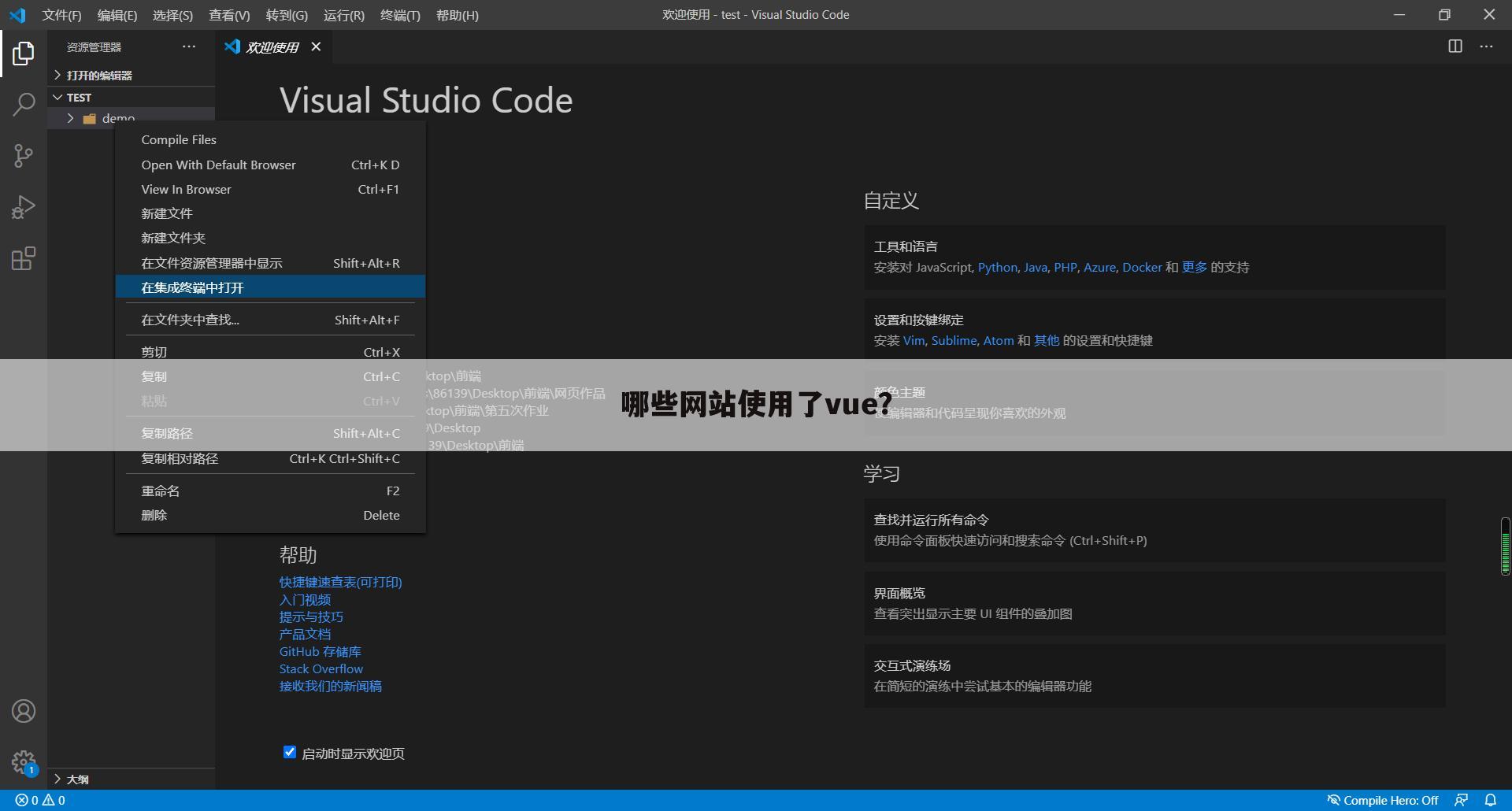 哪些网站使用了vue?