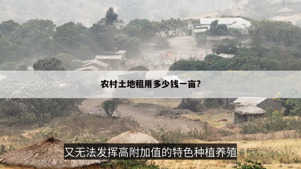 农村土地租用多少钱一亩?