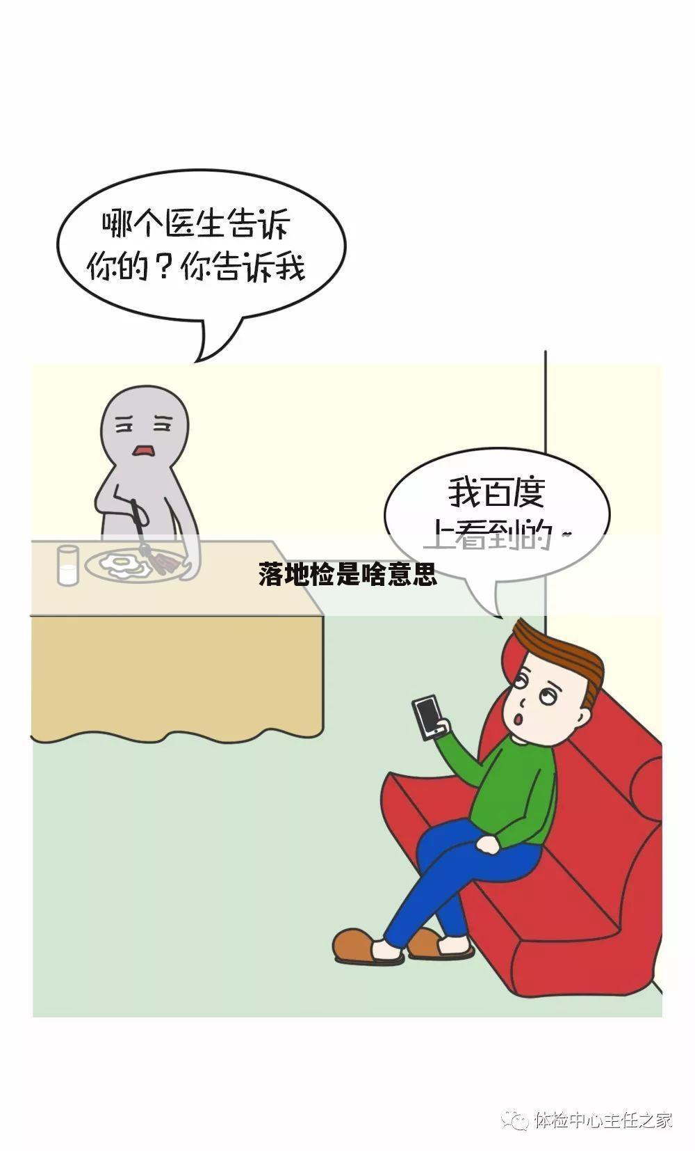落地检是啥意思