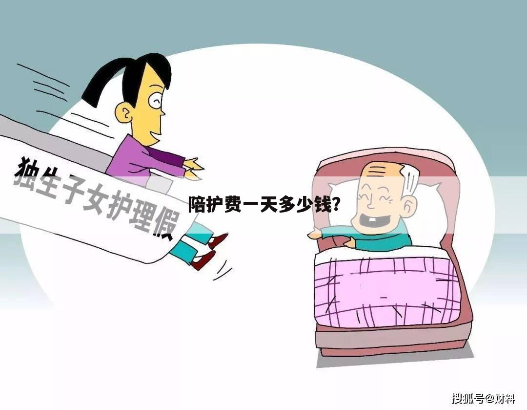 陪护费一天多少钱?