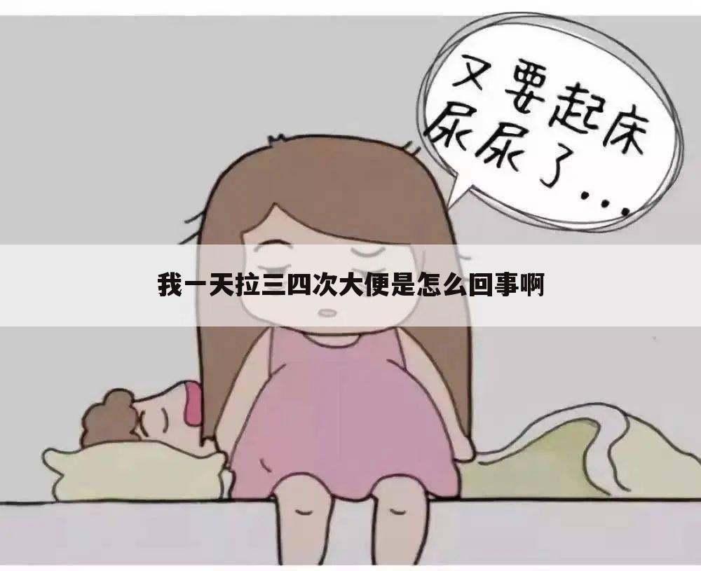 我一天拉三四次大便是怎么回事啊