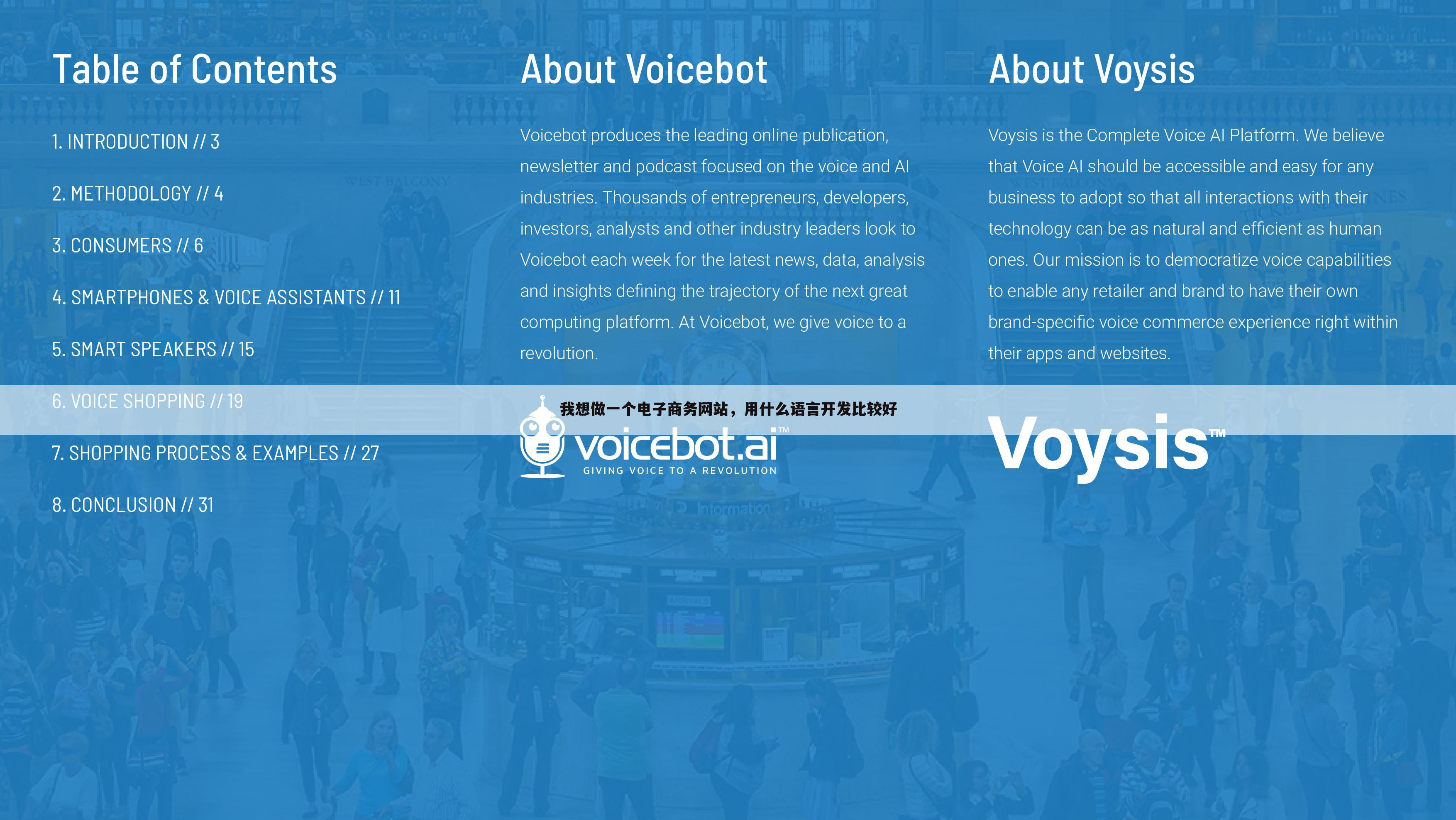 我想做一个电子商务网站，用什么语言开发比较好