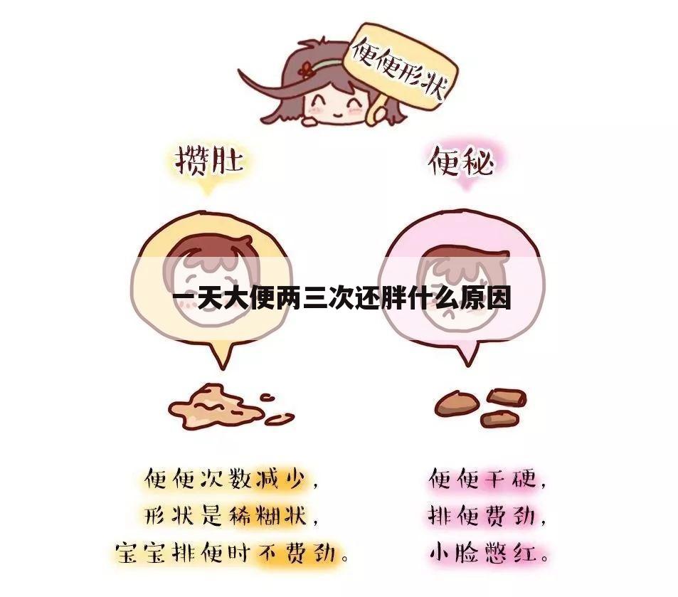 一天大便两三次还胖什么原因