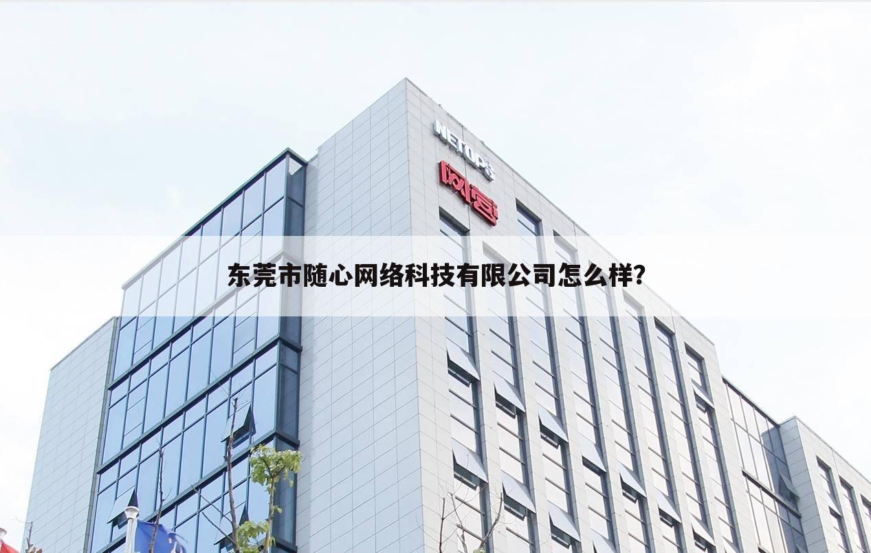 东莞市随心网络科技有限公司怎么样？