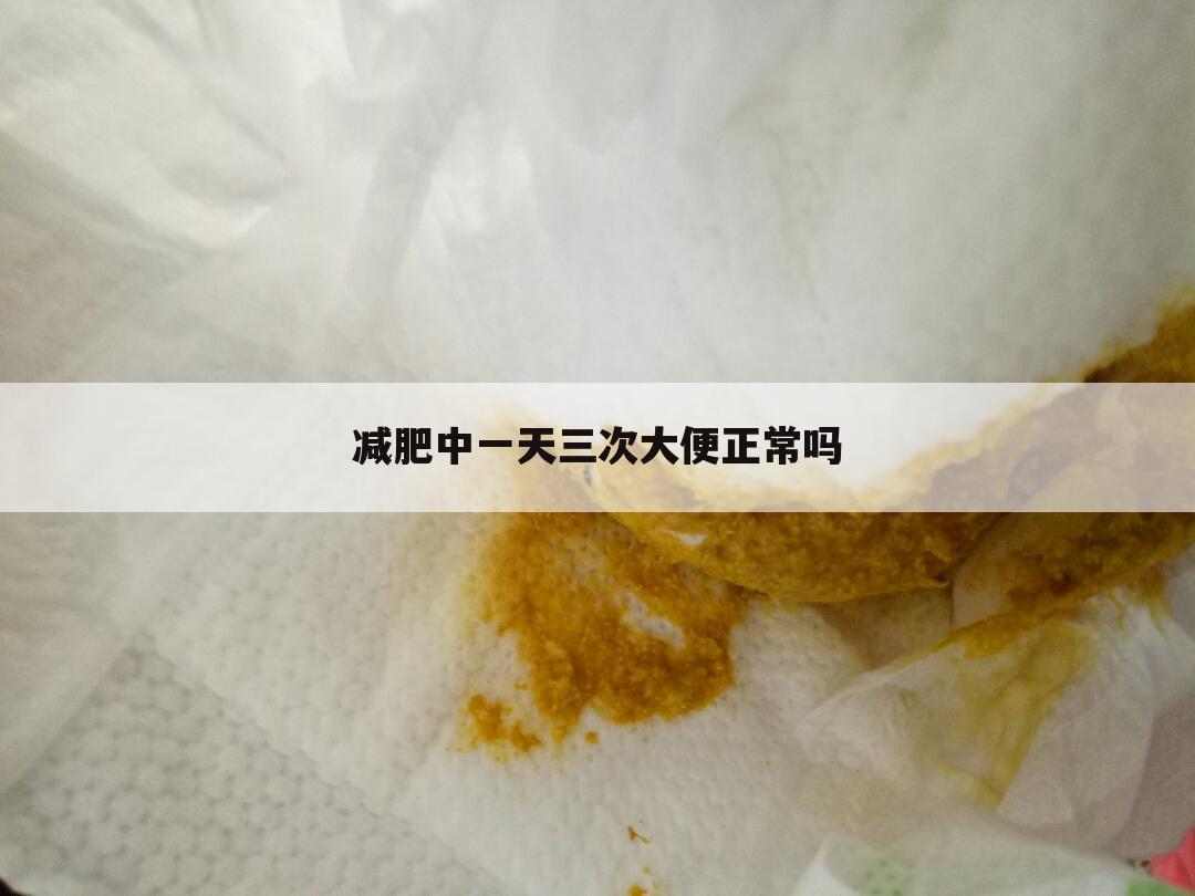减肥中一天三次大便正常吗