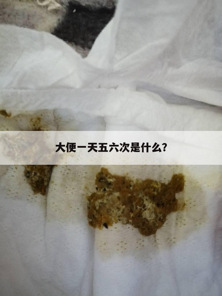 大便一天五六次是什么?