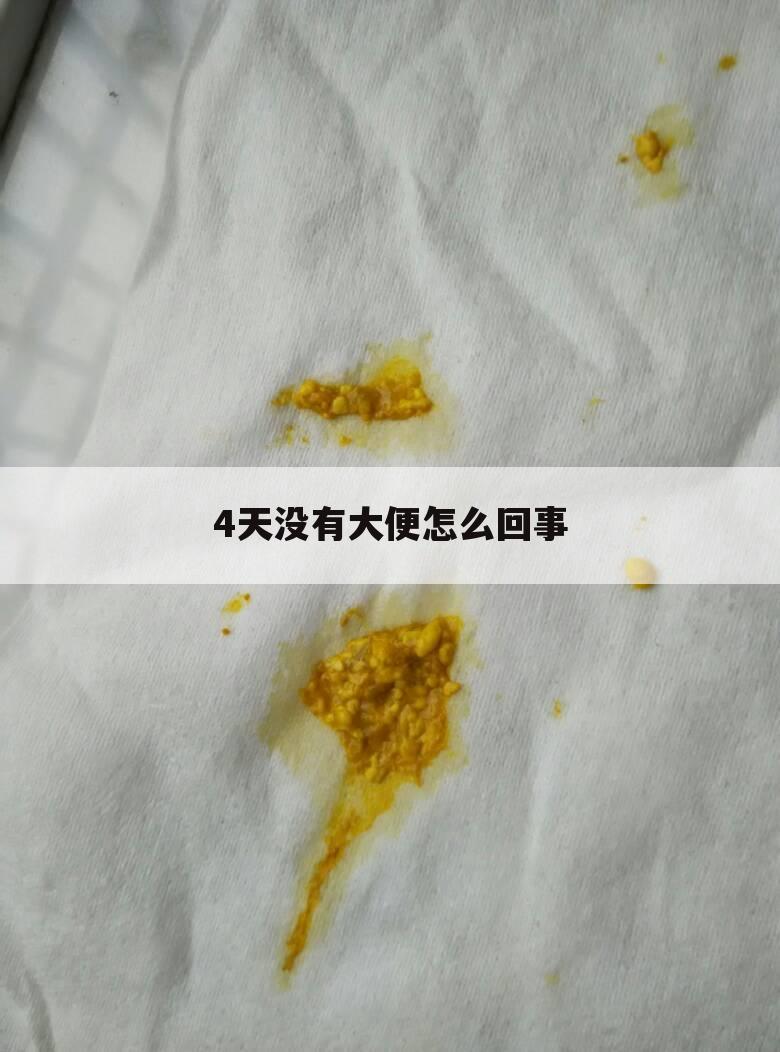 4天没有大便怎么回事