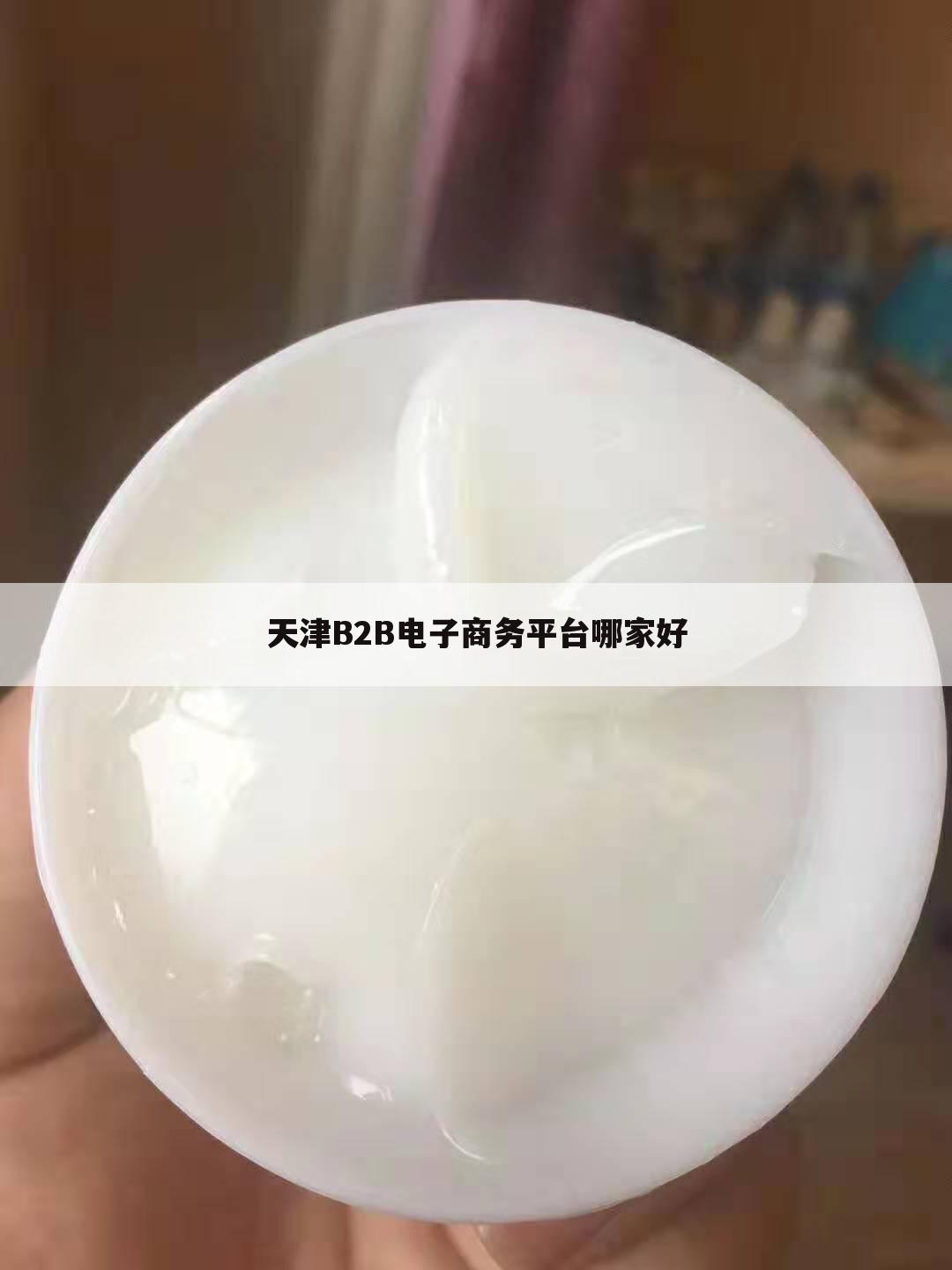 天津B2B电子商务平台哪家好