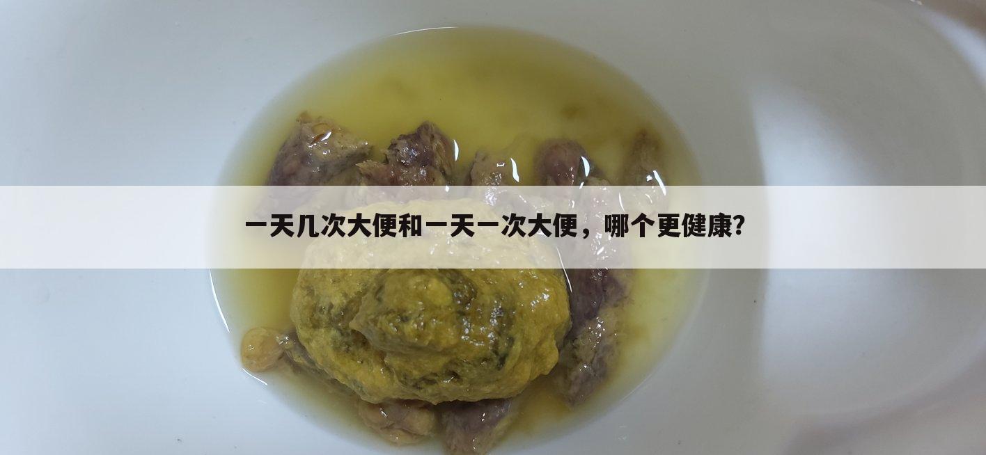一天几次大便和一天一次大便，哪个更健康？