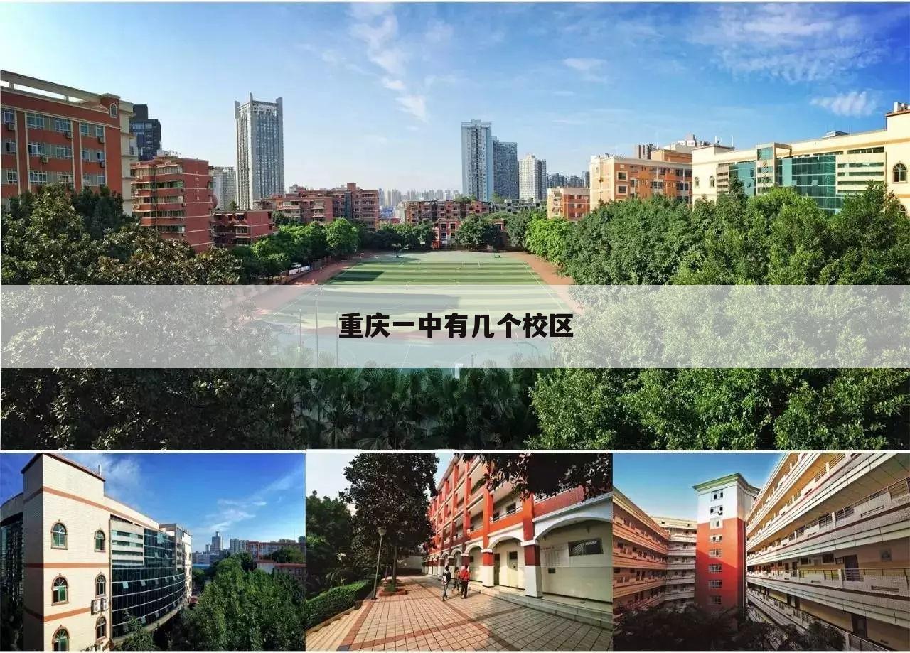 重庆一中有几个校区