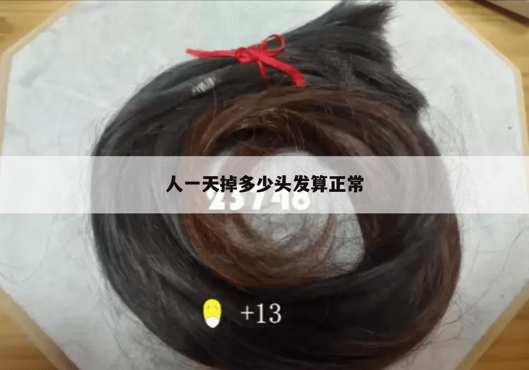 人一天掉多少头发算正常