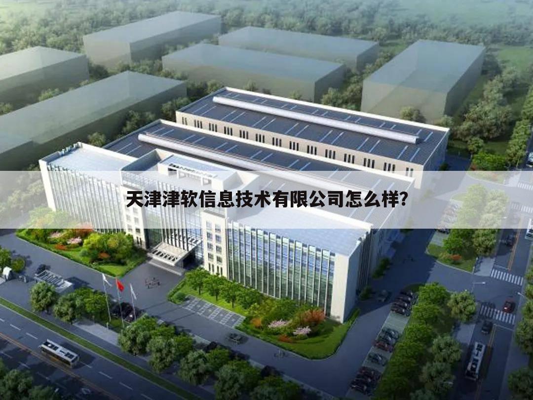 天津津软信息技术有限公司怎么样？