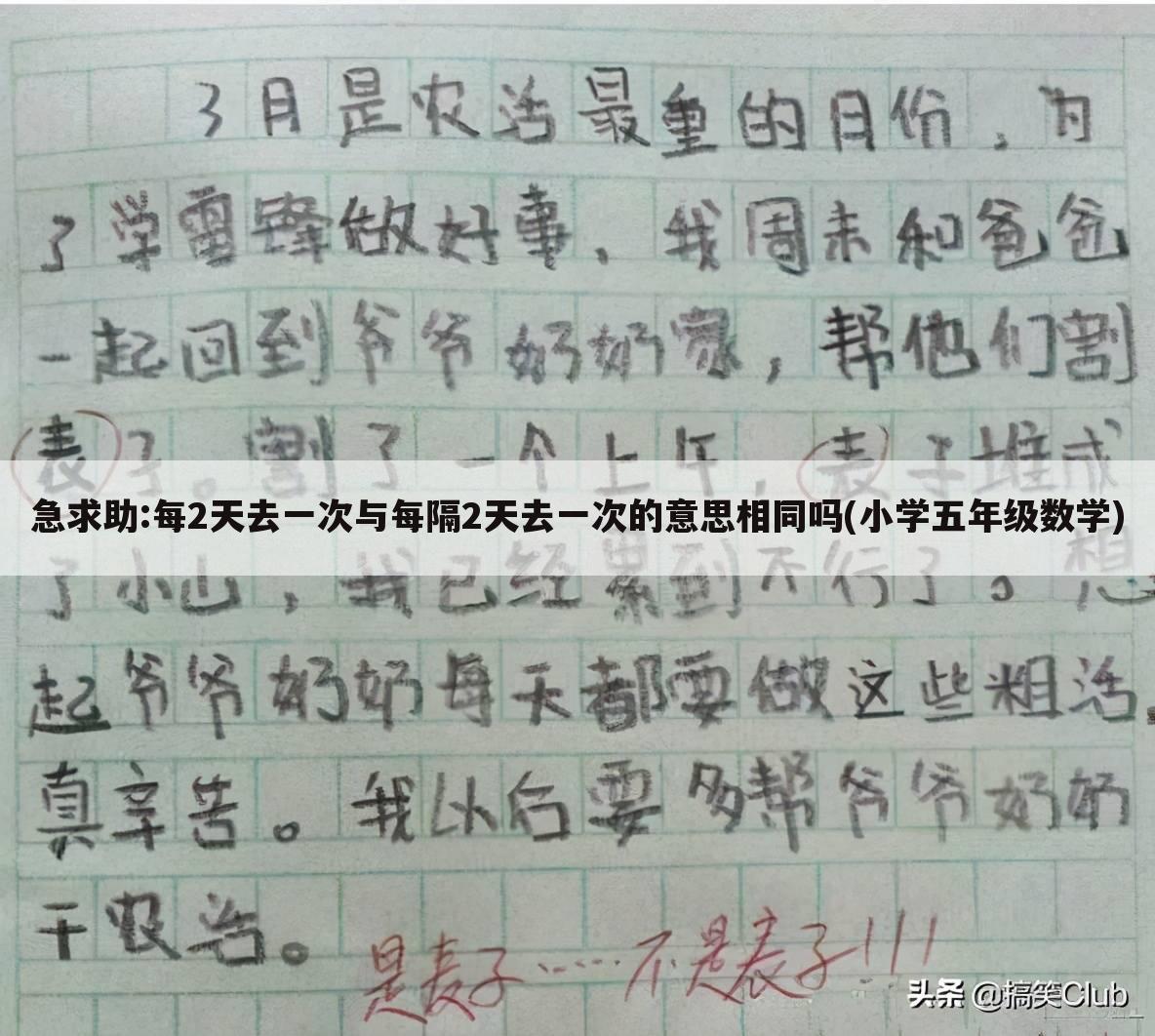 急求助:每2天去一次与每隔2天去一次的意思相同吗(小学五年级数学)