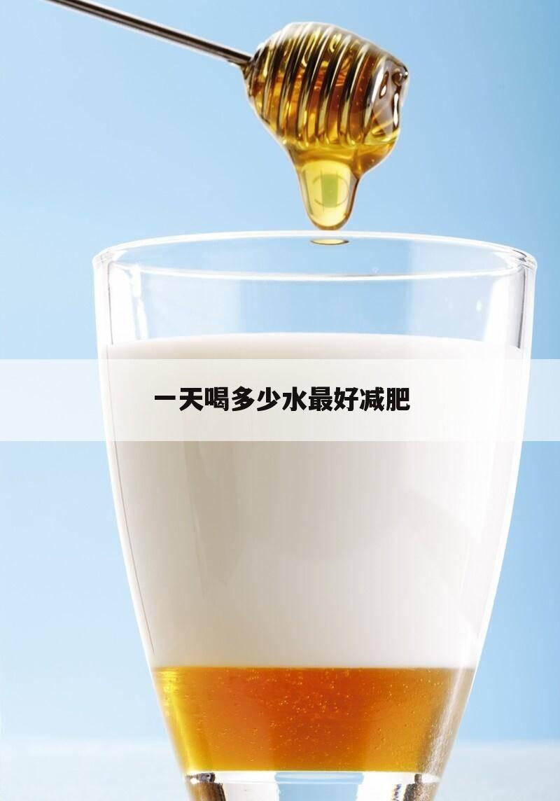 一天喝多少水最好减肥