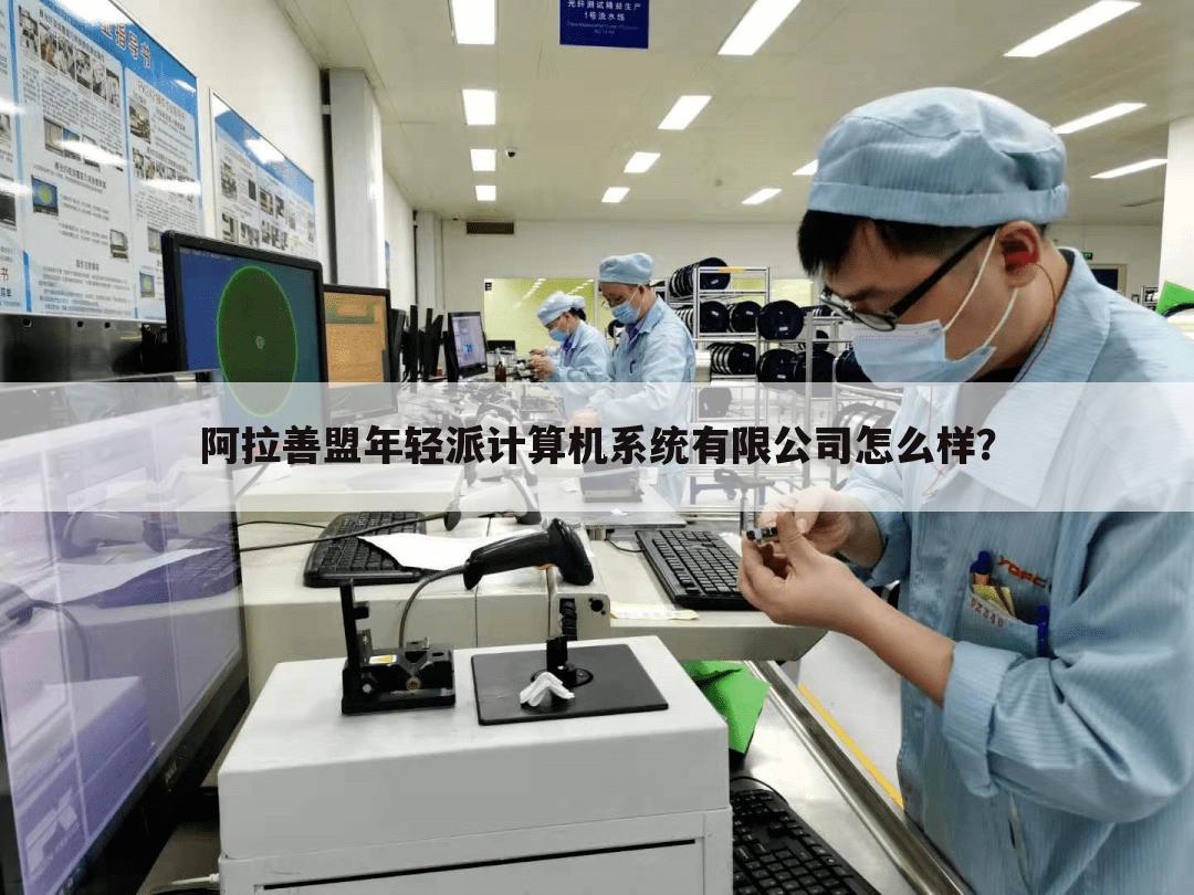 阿拉善盟年轻派计算机系统有限公司怎么样？