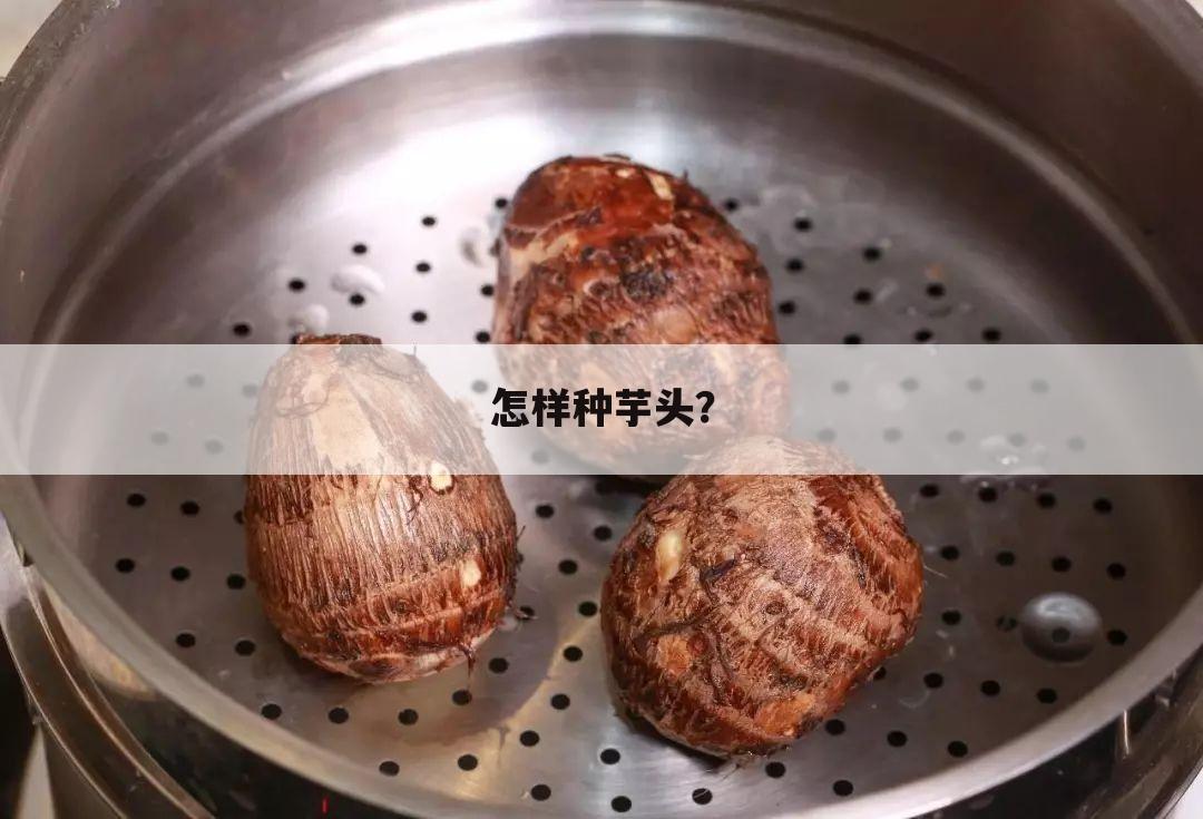 怎样种芋头?