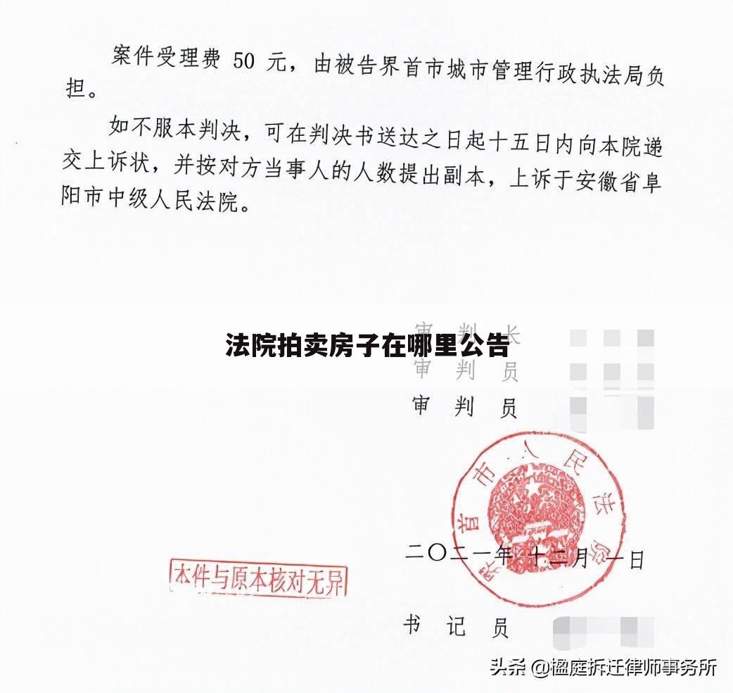 法院拍卖房子在哪里公告