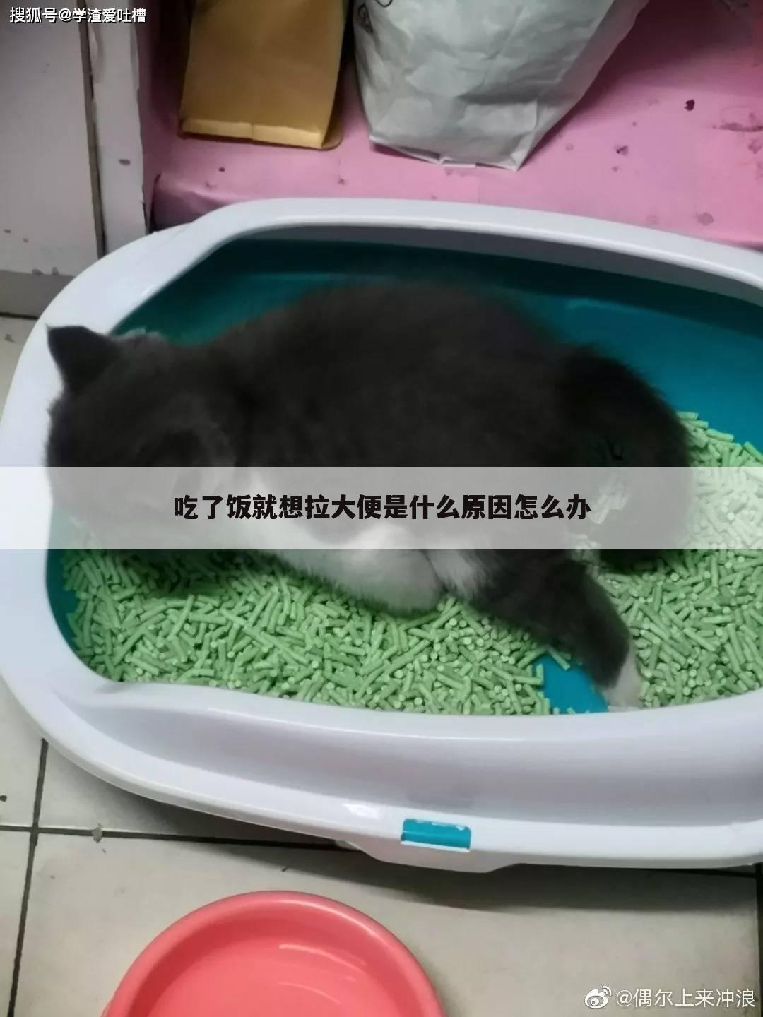 吃了饭就想拉大便是什么原因怎么办