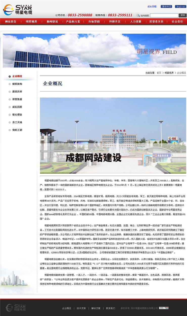 成都网站建设