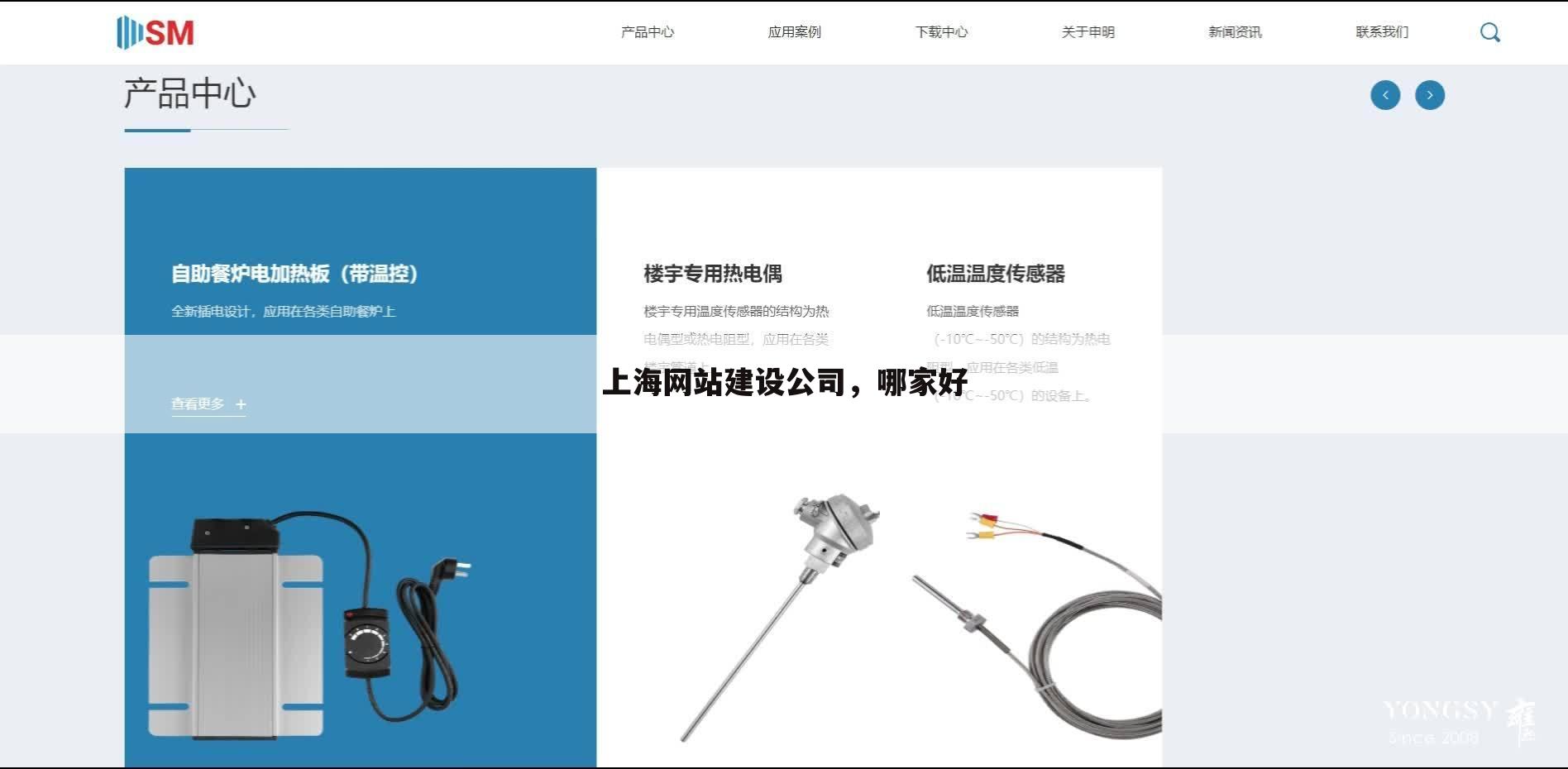 上海网站建设公司,哪家好