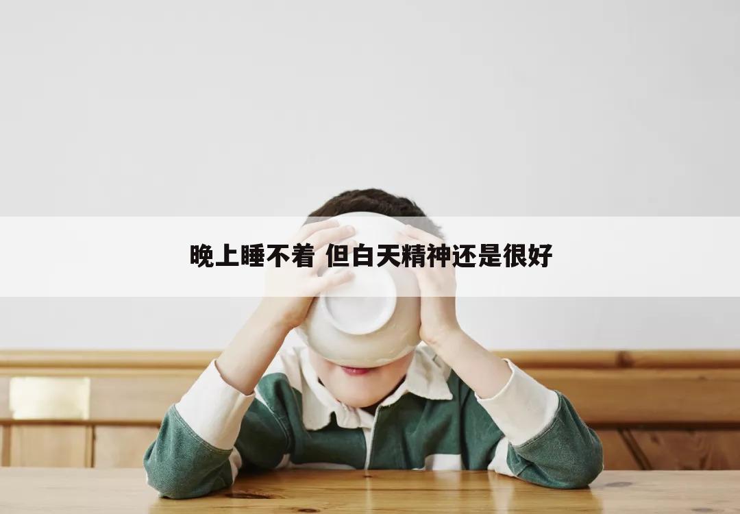 晚上睡不着 但白天精神还是很好