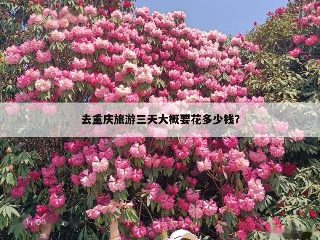 去重庆旅游三天大概要花多少钱?