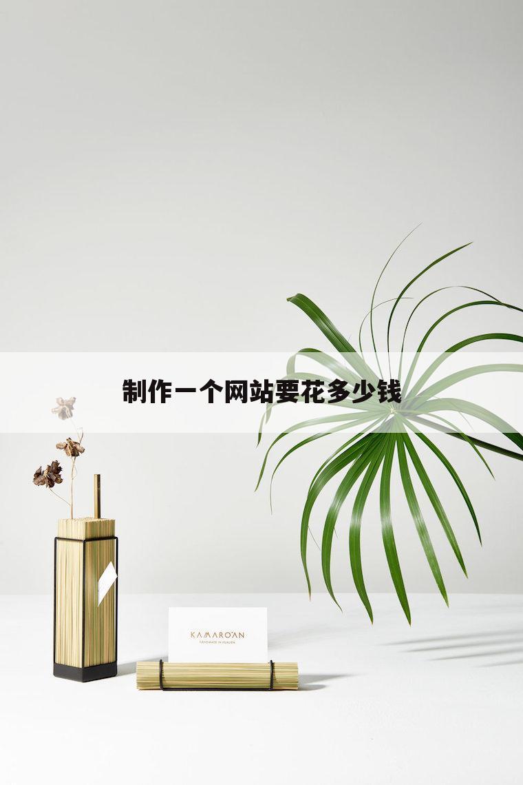 制作一个网站要花多少钱