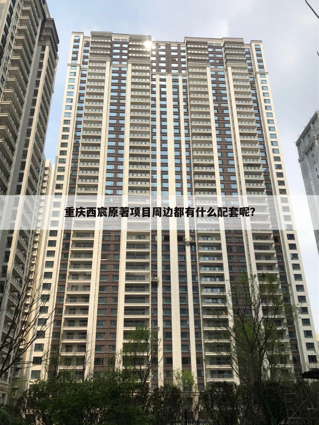 重庆西宸原著项目周边都有什么配套呢?