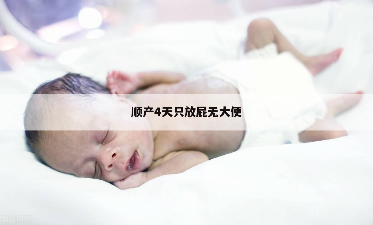 顺产4天只放屁无大便