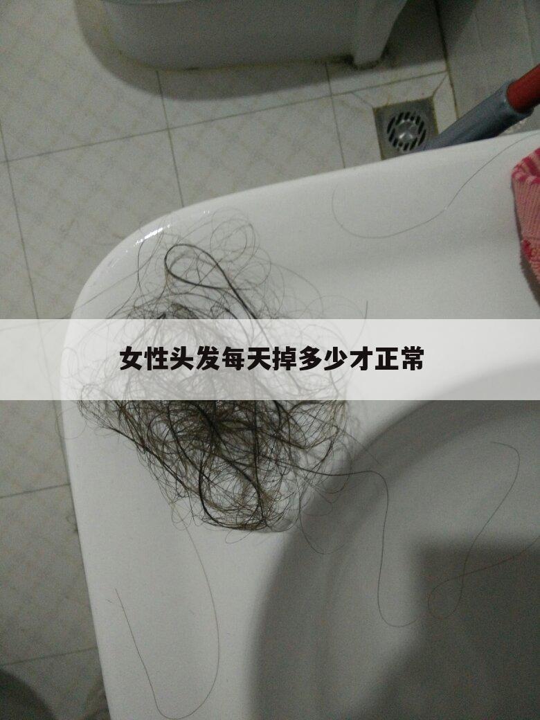 女性头发每天掉多少才正常