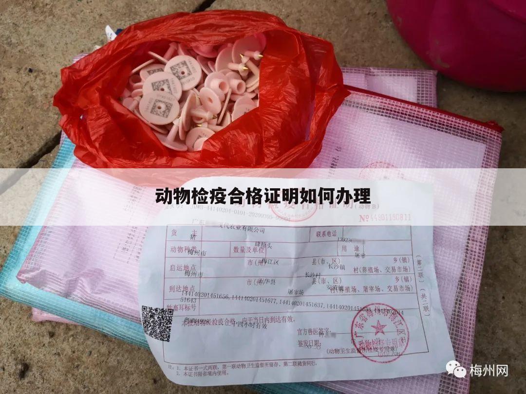 动物检疫合格证明如何办理