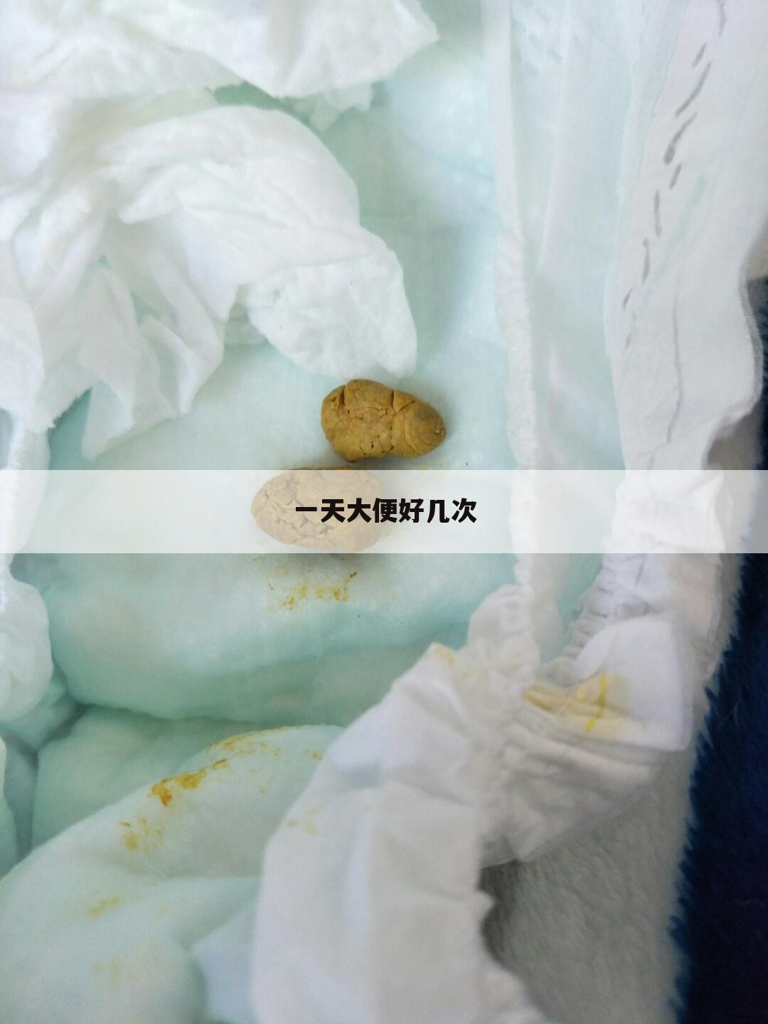 一天大便好几次