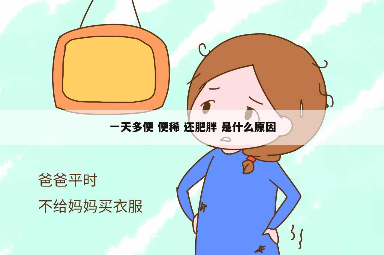 一天多便 便稀 还肥胖 是什么原因
