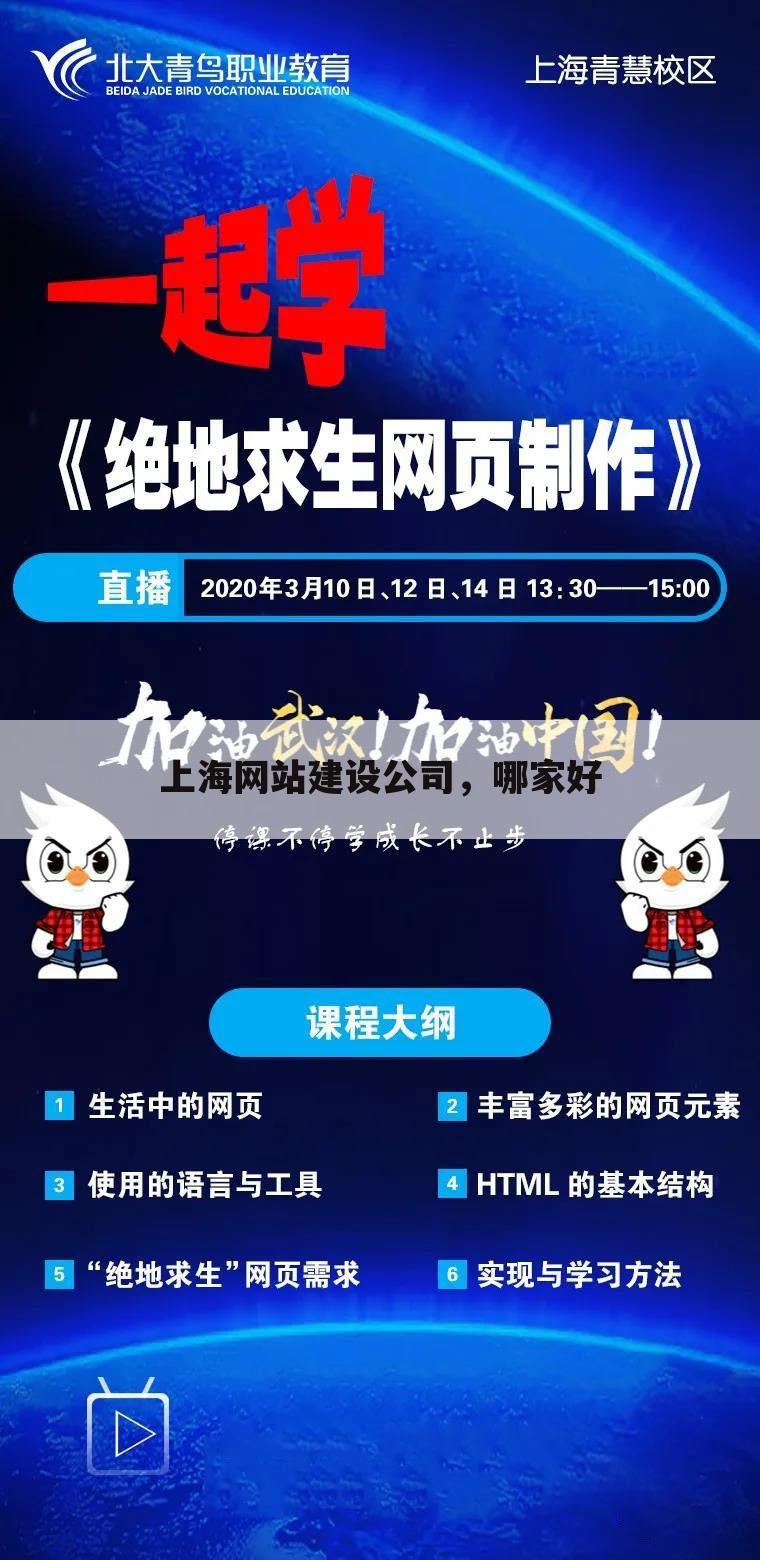 上海网站建设公司，哪家好