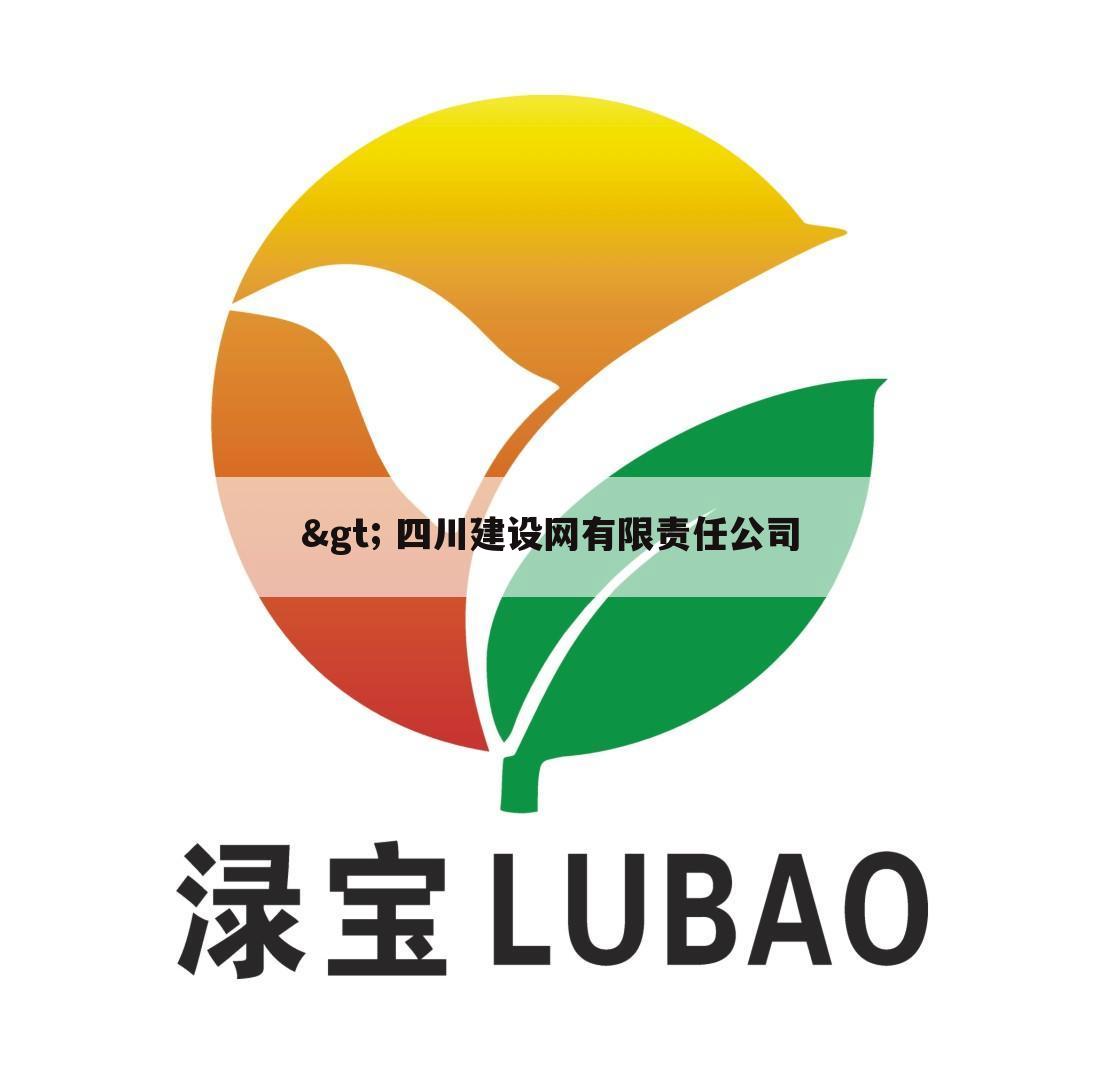 > 四川建设网有限责任公司