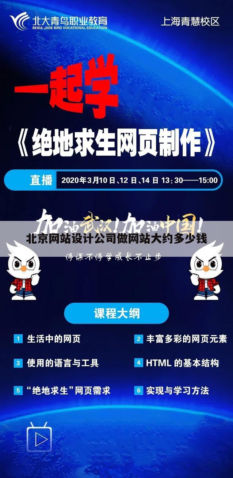 北京网站设计公司做网站大约多少钱