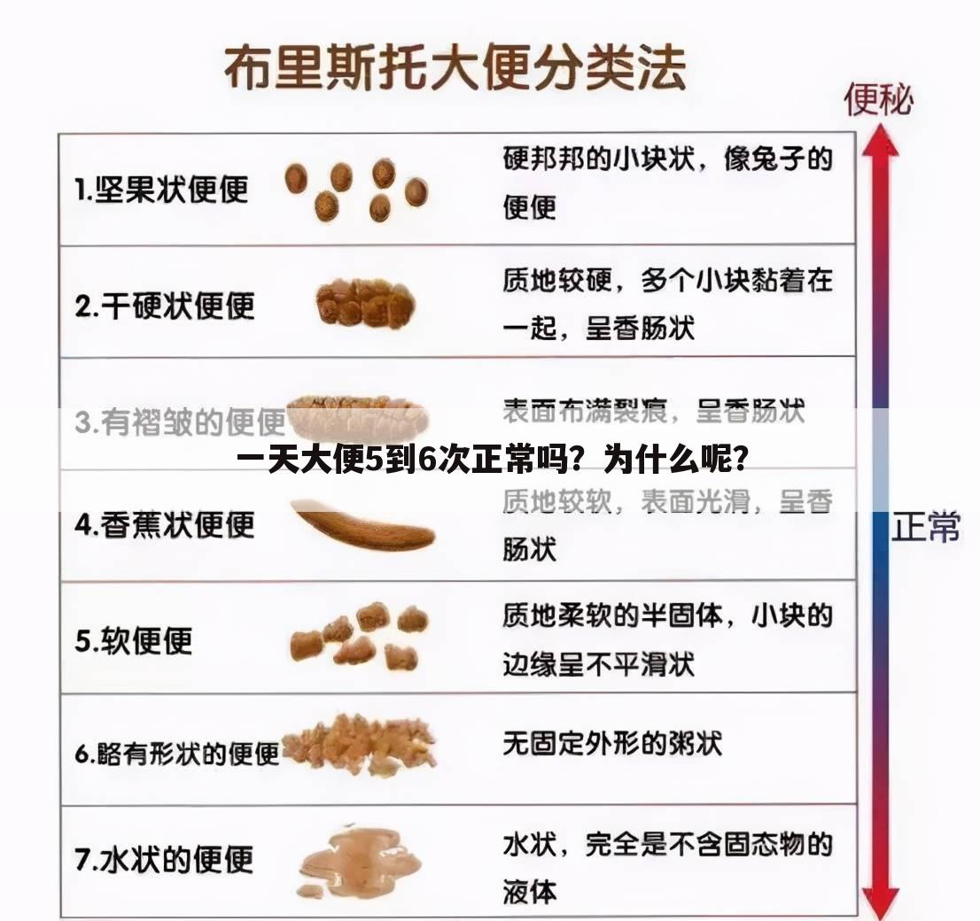 一天大便5到6次正常吗?为什么呢?